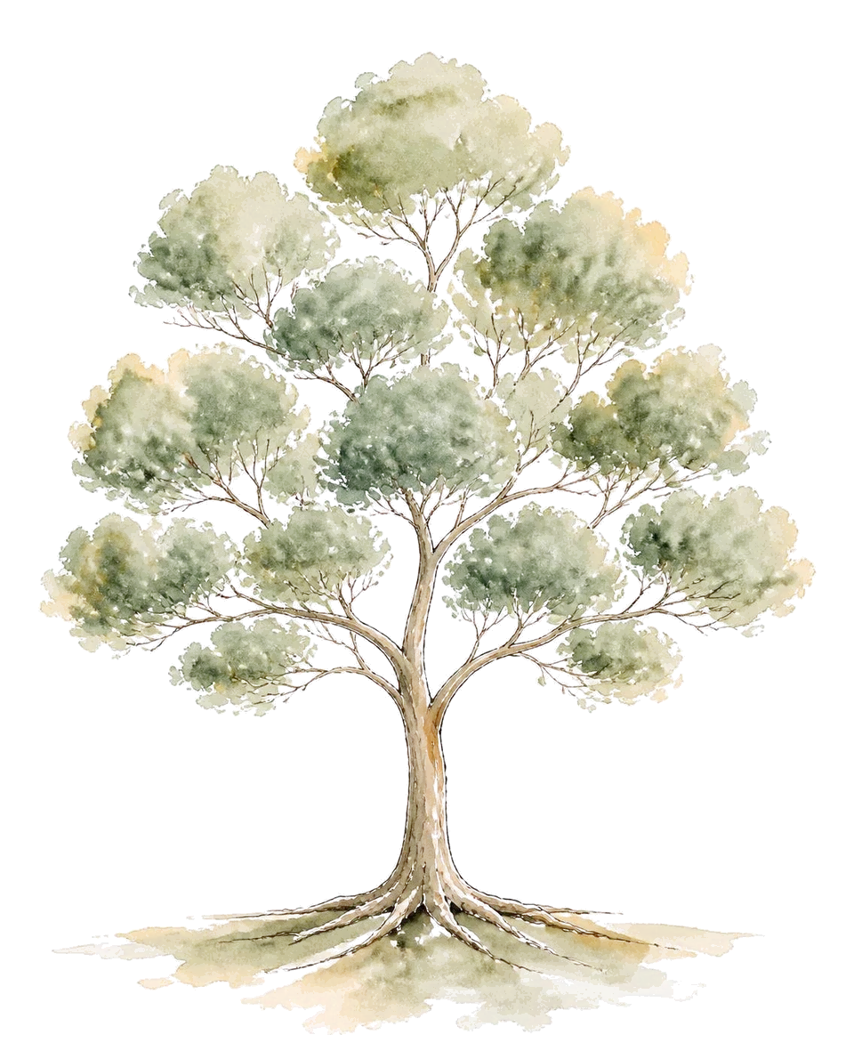 Watercolour tree with Moroccanoil at the roots and our other brands on its branches